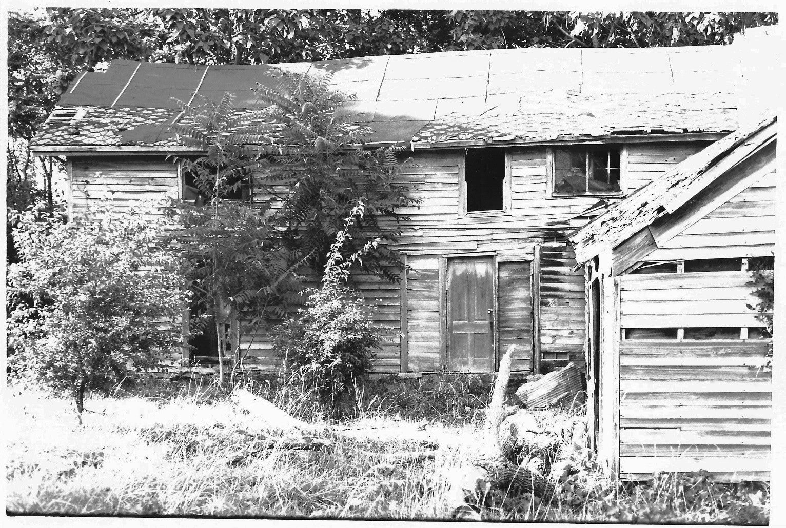 Borden House 1976- Rear